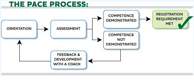 The Pace Process Infographic